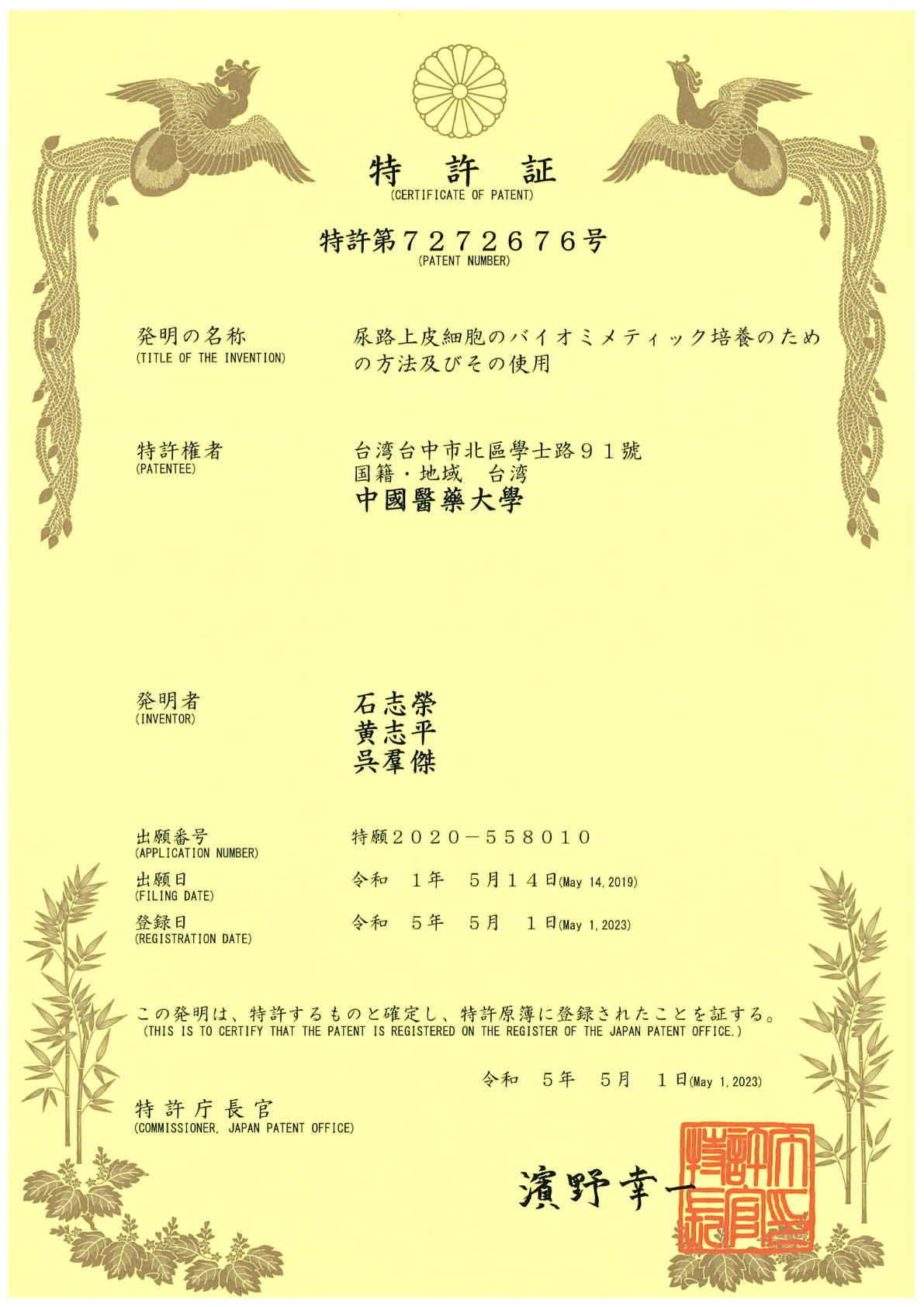 Immunotherapy, cell therapy