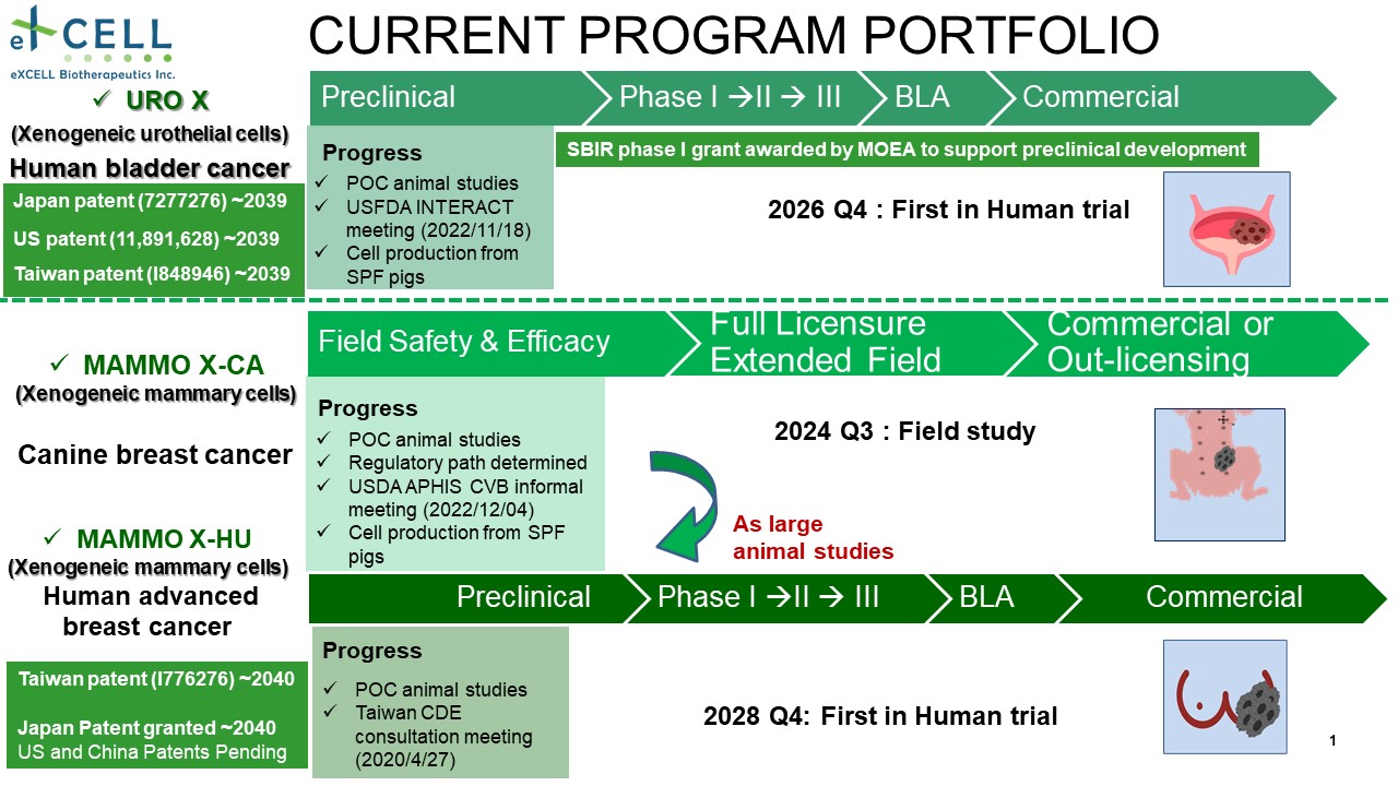 eXCELL xenogeneic cell immunotherapy