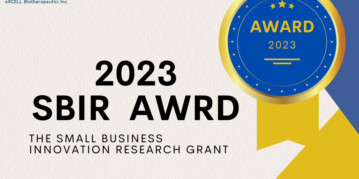 he Small Business Innovation Research) grant (1)